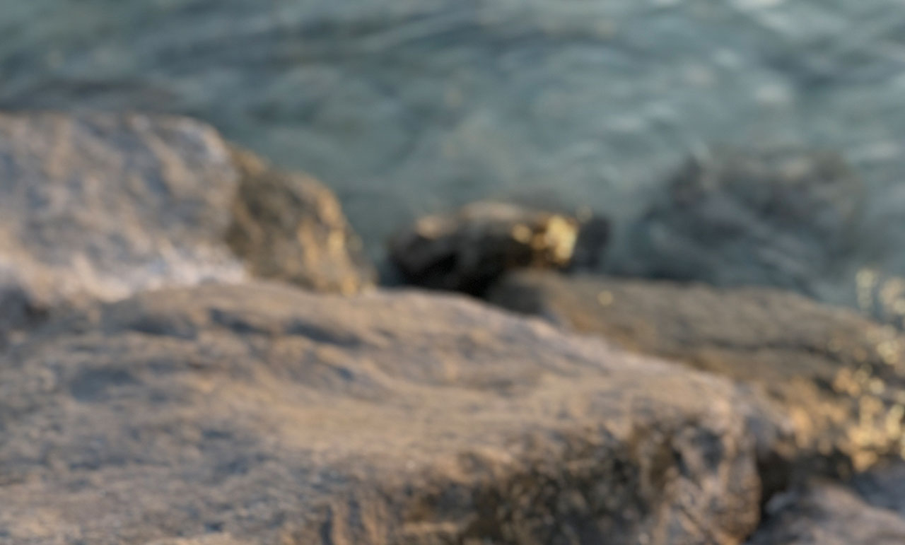 Violet By Voxelar - California, Marketing Agency