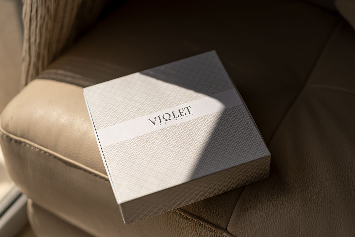 Violet By Voxelar - California, Marketing Agency